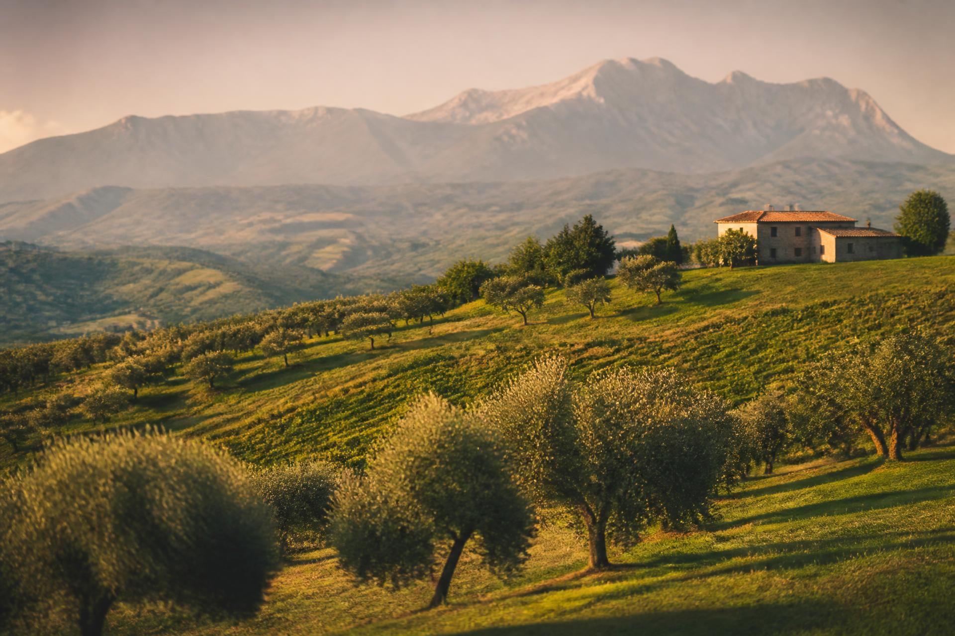 Le colline d'Abruzzo al tramonto — la campagna della nostra azienda agricola